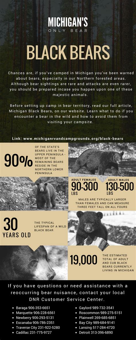 As a response, the Michigan Department of Natural Resources (DNR) restricted bear hunting in hopes of a. . Michigan black bear record book